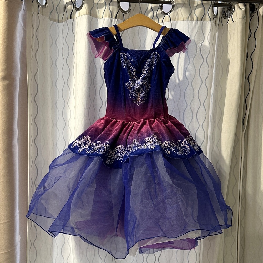 Weissman Kids Dance Costume in Purple and Blue